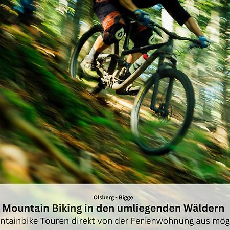 Ferienwohnungen Sauerland Und Olsberg Bagian luar foto