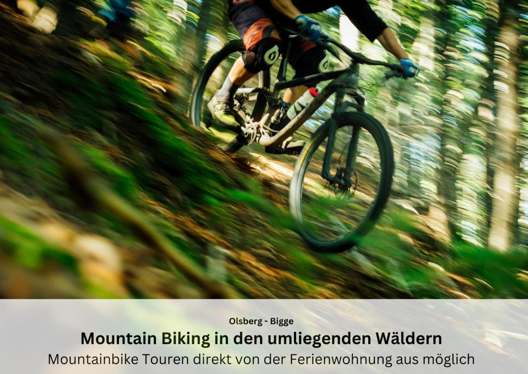Ferienwohnungen Sauerland Und Olsberg Bagian luar foto