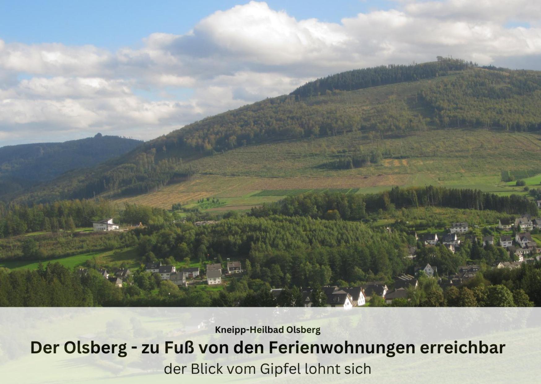 Ferienwohnungen Sauerland Und Olsberg Bagian luar foto