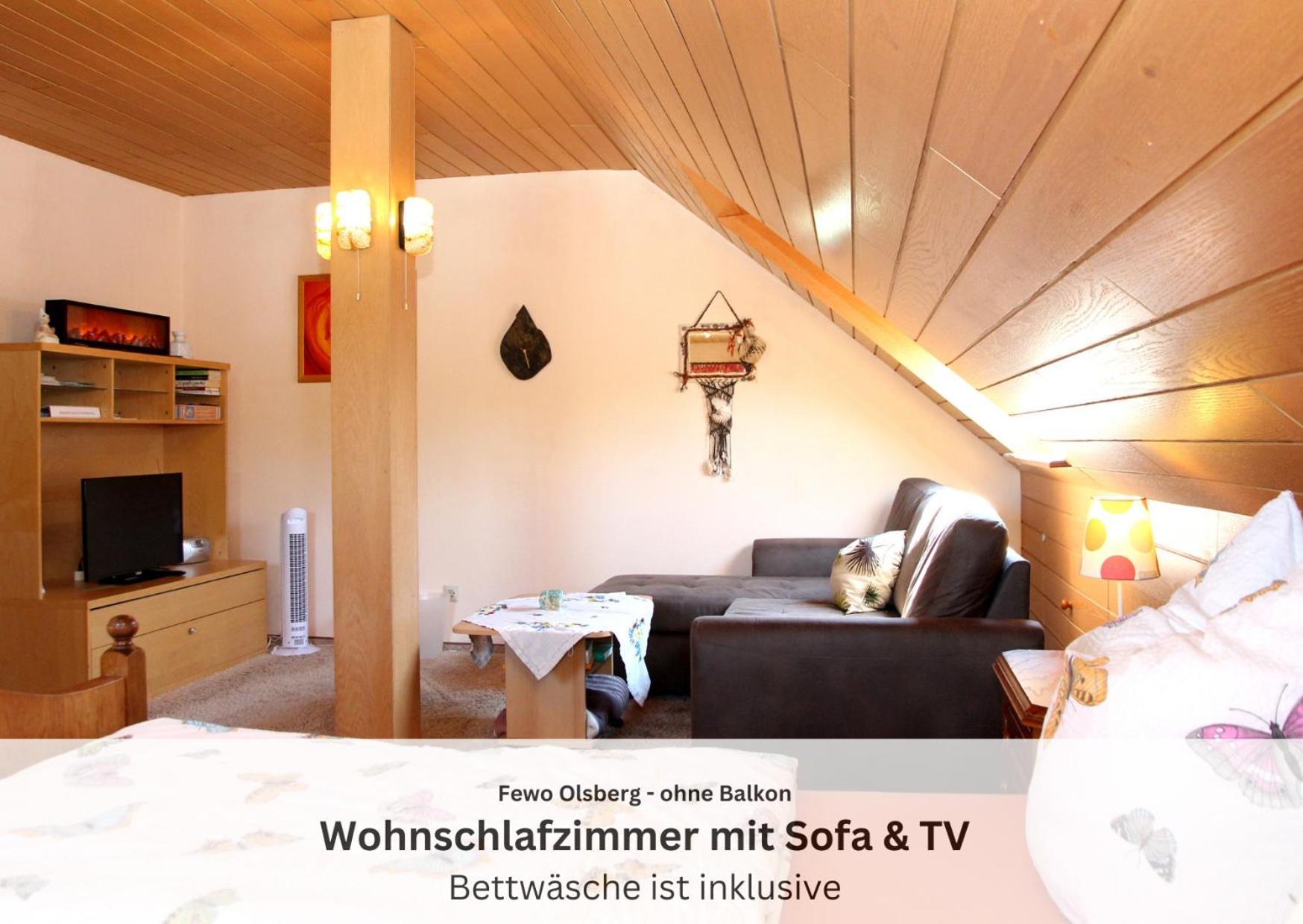 Ferienwohnungen Sauerland Und Olsberg Bagian luar foto