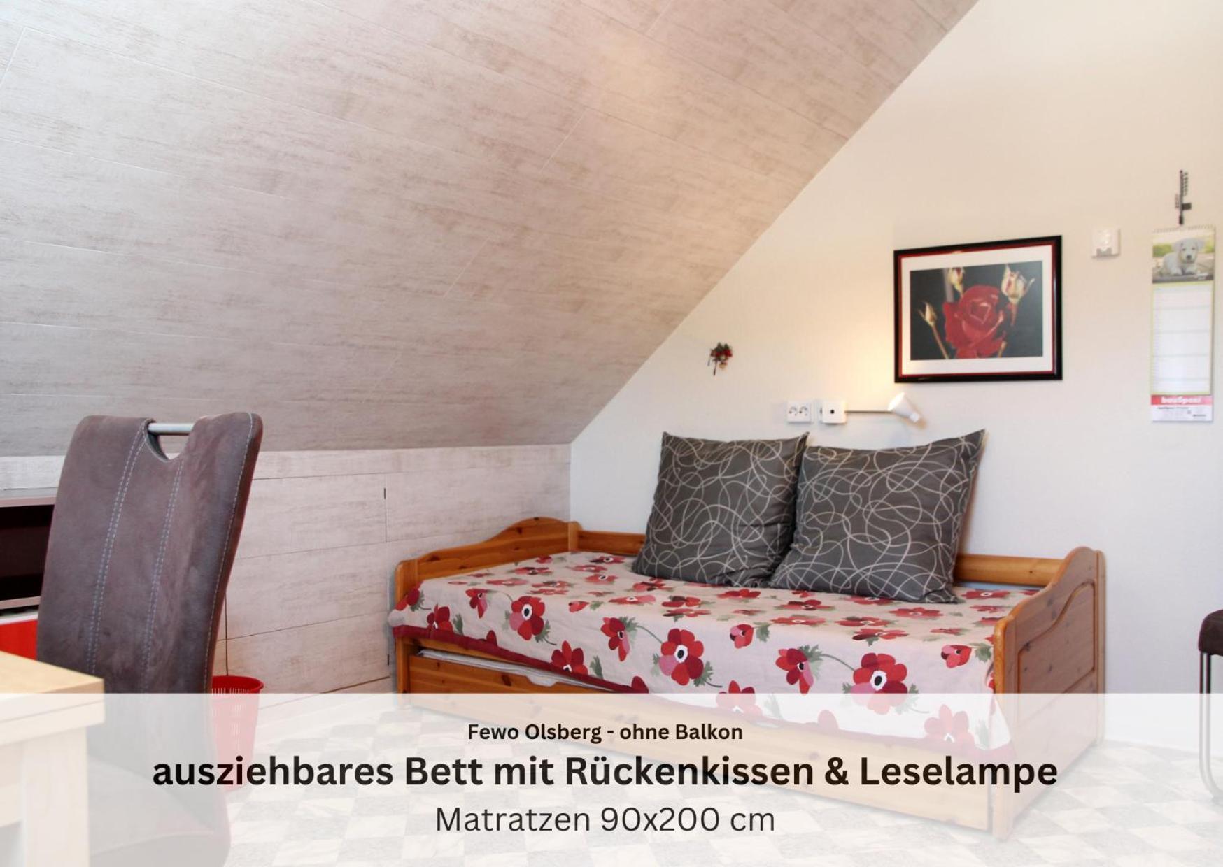 Ferienwohnungen Sauerland Und Olsberg Bagian luar foto