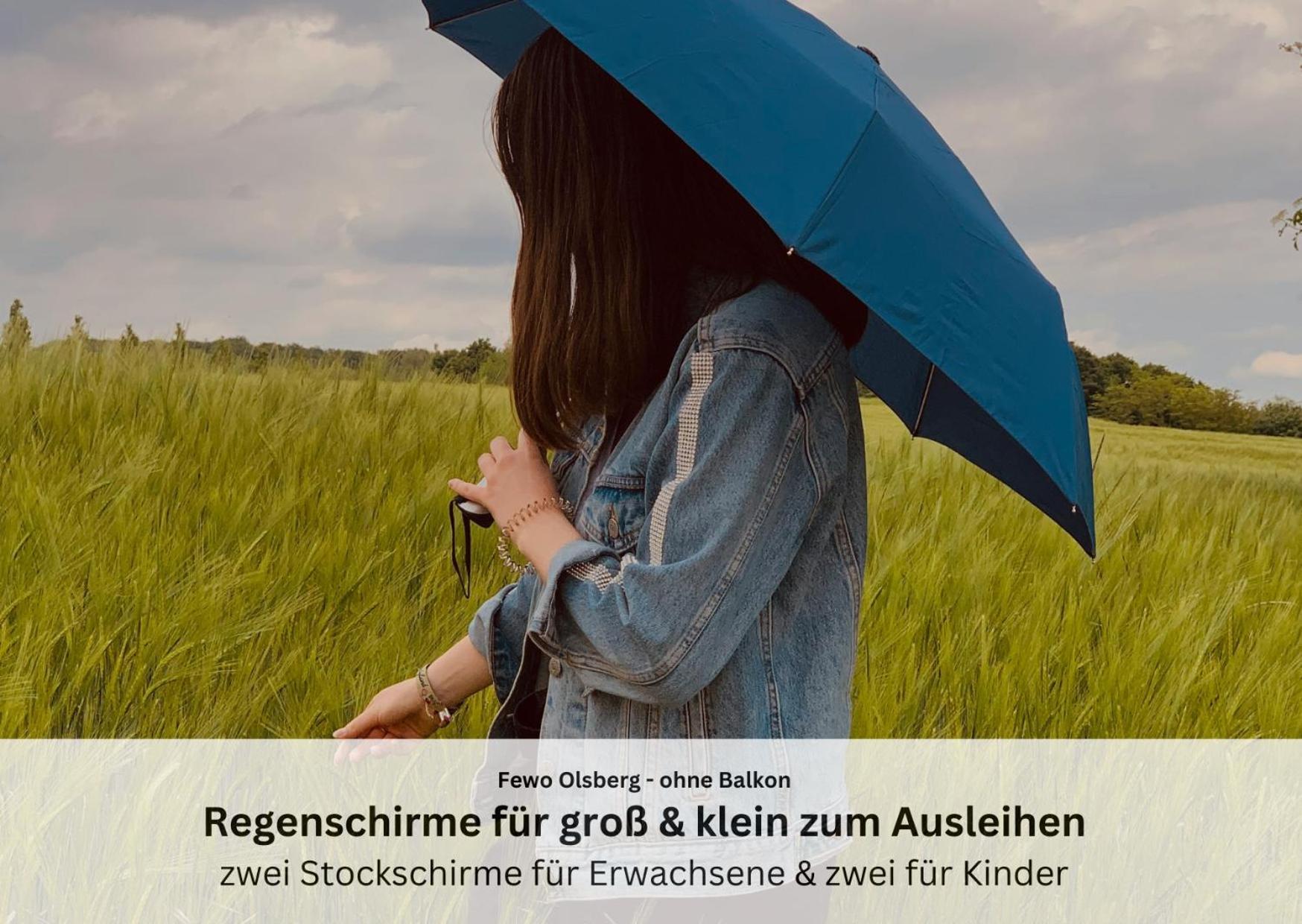 Ferienwohnungen Sauerland Und Olsberg Bagian luar foto