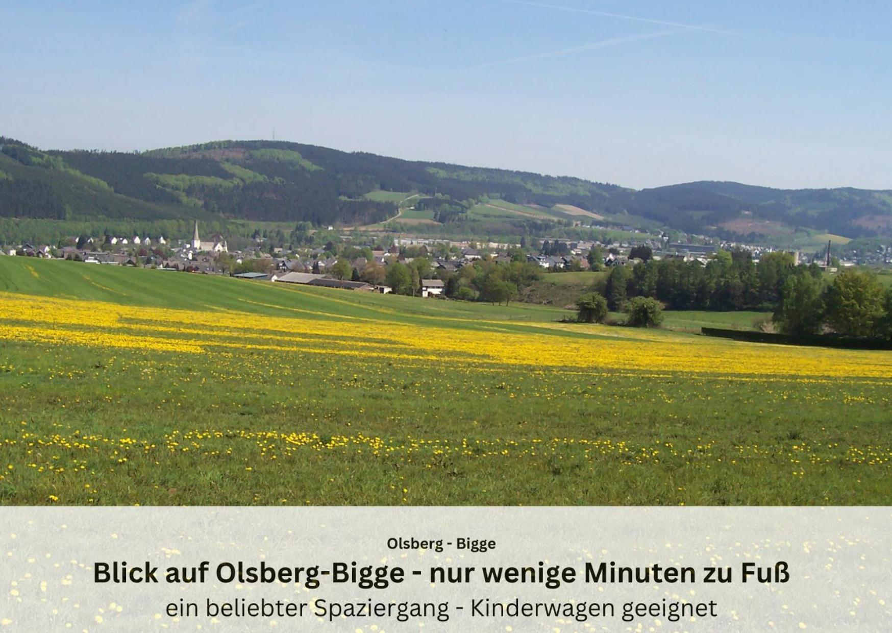 Ferienwohnungen Sauerland Und Olsberg Bagian luar foto